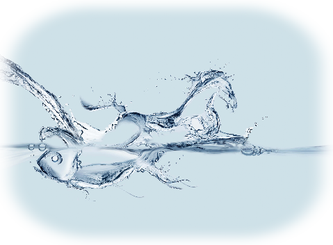 Aquastar equestrian reference list Aquastar equestrian reference list